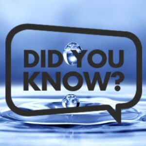 Organische und anorganische Barriere