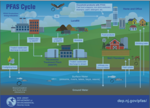PFAS – „Forever Chemicals“ und ihre Bedeutung für Verpackungen