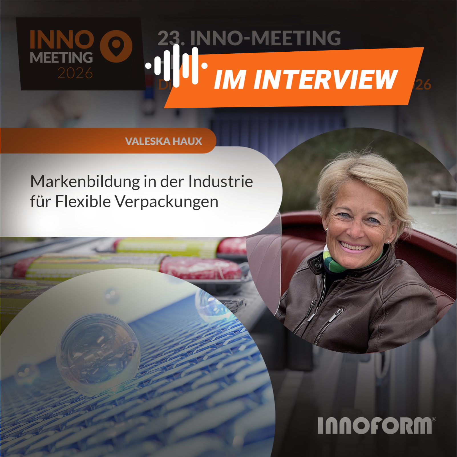 Valeska Haux beim 23. Inno-Meeting